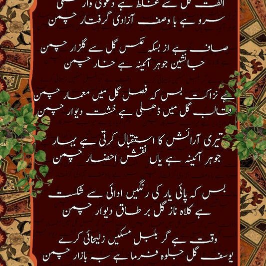 DEEWAR-E-HUSN  SHAWL